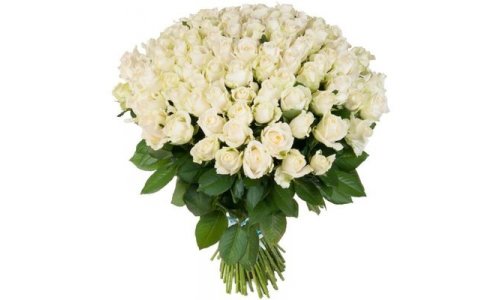купить 50 цветов