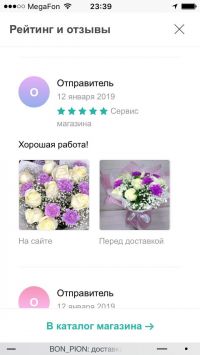 Doc44966546 509781800